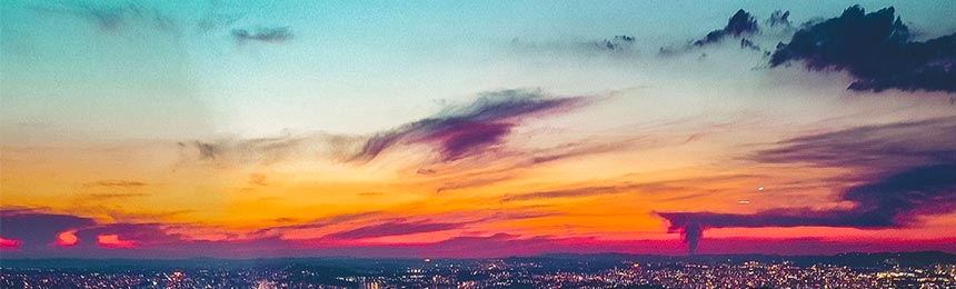 泰兴茶虫网_泰兴品茶